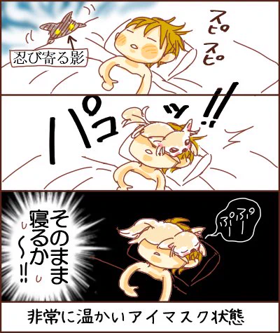 マイペースなところは光ちゃんに似てると思う(ワンダーより) 