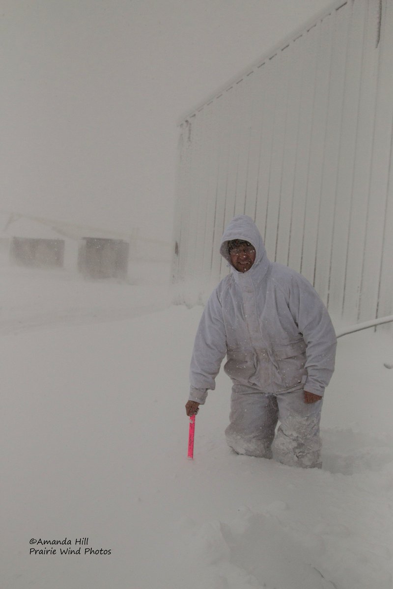 View image on Twitter View image on Twitter