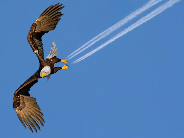 Wow, die gaat snel! ;D