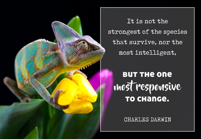 Tramonto_Chiro's tweet image. &amp;lt;3