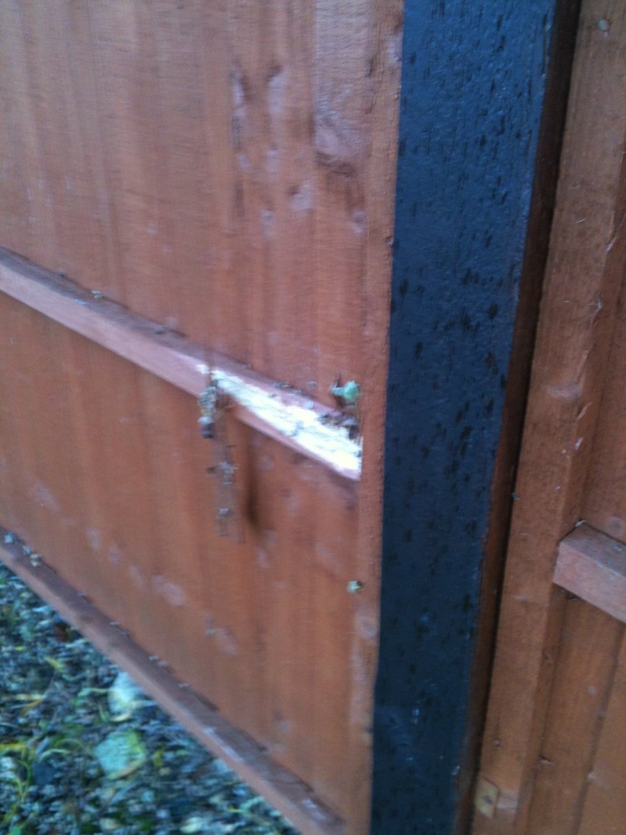 CousinsMiranda's tweet photo. Indeed! Construction vehicles of @CALAHOMES contractors already damaged fence @BayswaterFarm ! https://t.co/jd6zgDyYGg