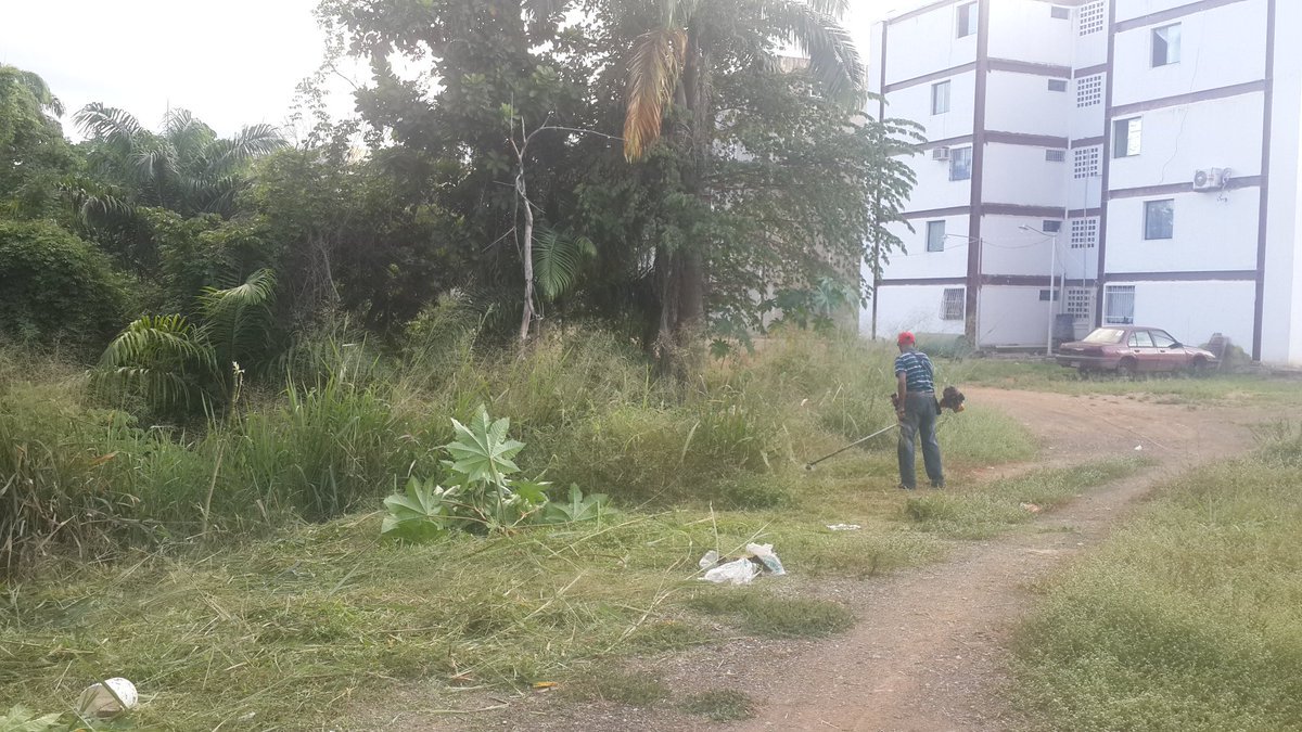 Gob_Guarico's tweet photo. #SEPA || En #Guárico urbanismo Hugo Chávez Frías en el mcpio #Roscio activos con Huertos Urbanos
#PoderPopularConChacin
#FelizViernes https://t.co/v0WugeSYZa