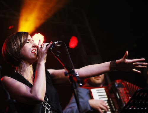 The Hoolie Band tweet media