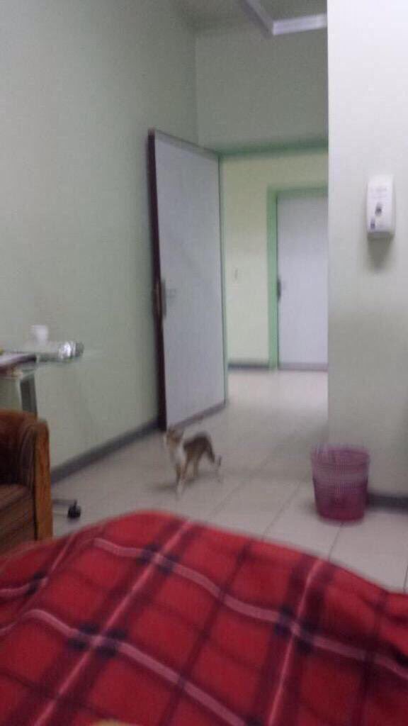 اذ سكتنا عشنا في قذارة وان تكلمنا جانا تهديد وهجوم وصوتنا لا يصل لمعاليك
تكفى لاتخلينا نحن سعوديين💔
<a href="/tfrabiah/">توفيق الربيعة</a>
 #اهمال_مستشفى_النقاهه_بالرياض