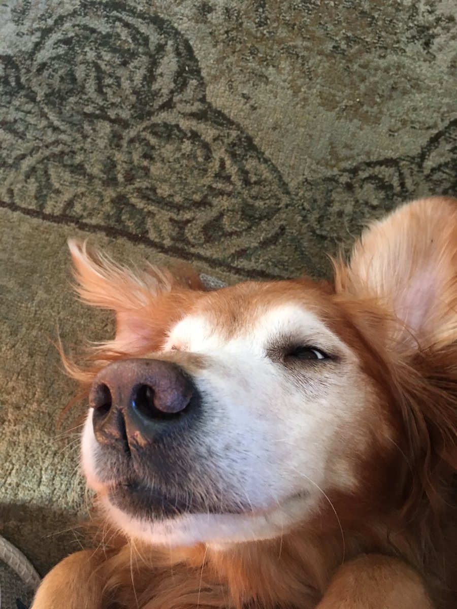 lizkhalifaman's tweet photo. When you turn the front camera on https://t.co/vBLFhVNZe8