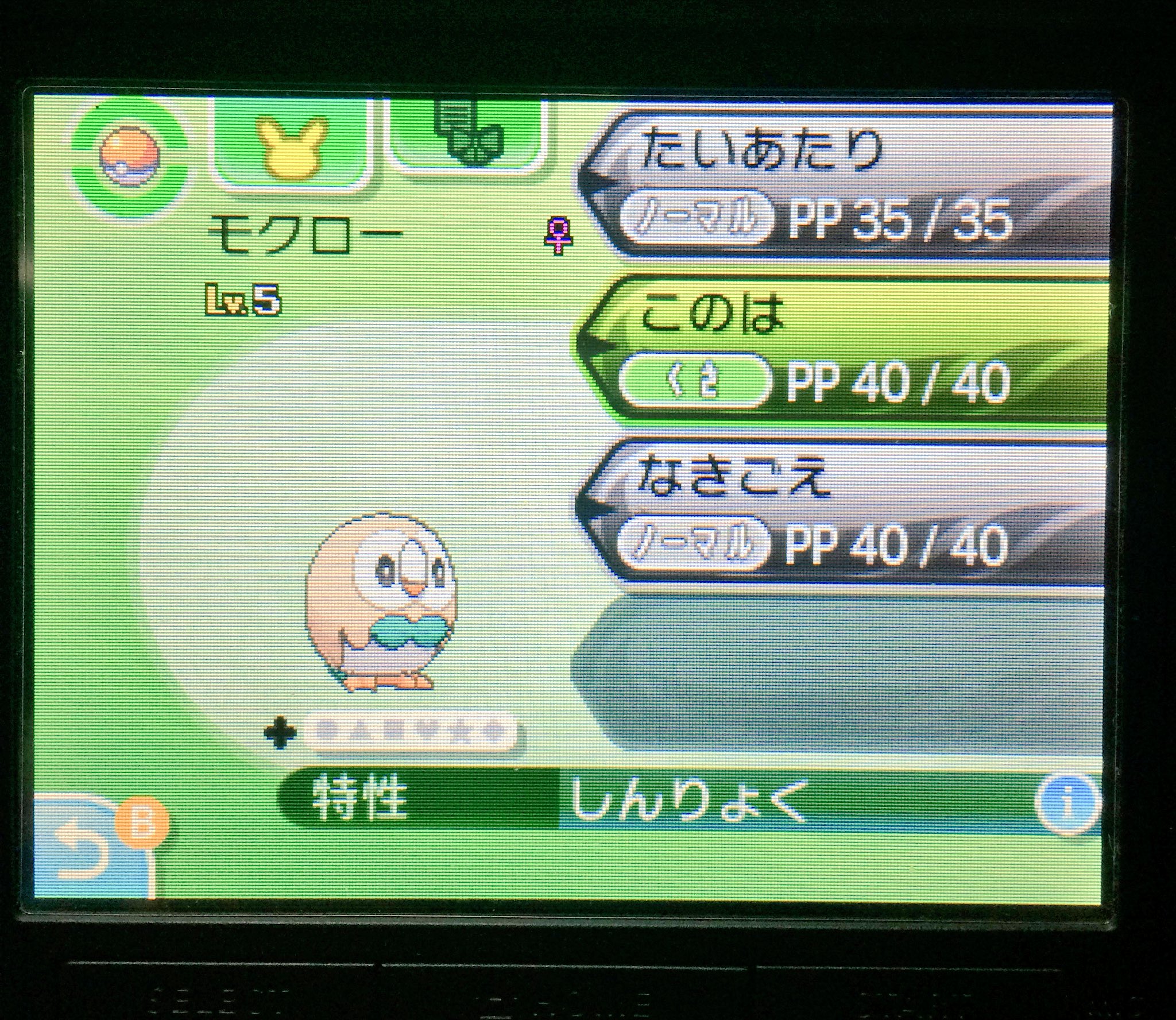 にに 取引兼用 モクロー一発目でメスきた ๑º ﾛ º๑ 別に狙って無かったけど 嬉しい誤算なので このまま行きます T Co Pxtwdzttnc Twitter