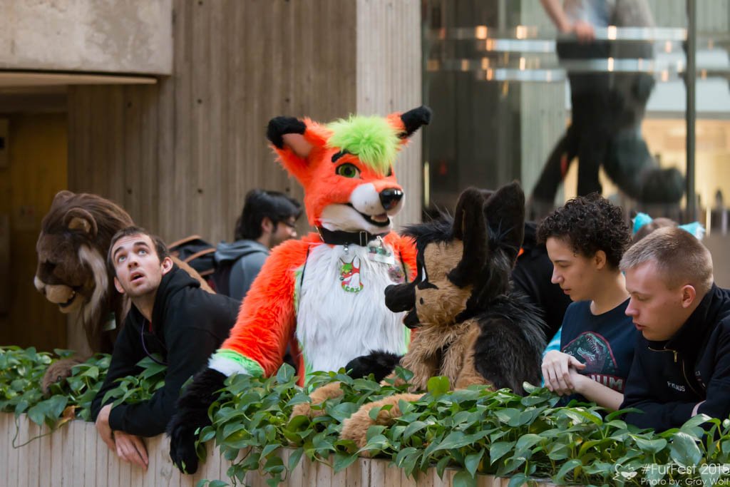 FurFest's tweet image. In just two weeks, you’ll be surrounded by friends both fuzzy and not!  We can’t wait to see you there! #FurFestFriday