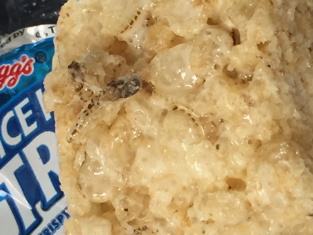 ✨Alex Vieth✨ tweet media