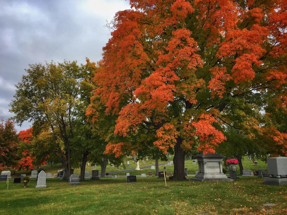 Episode 2 will be released soon! Here's a little sneak peek. Any guesses where it is?