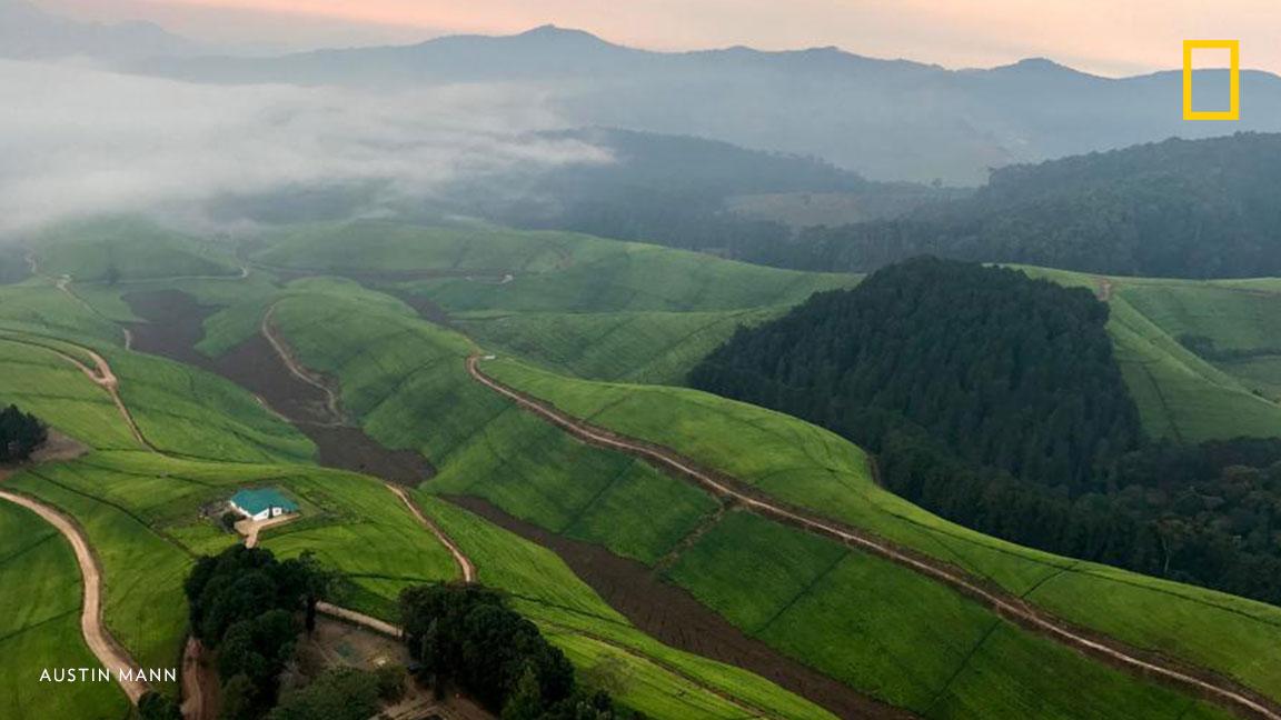 NatGeoPhotos's tweet photo. Which smartphone do you think was used to capture this phenomenal picture? Find out: https://t.co/NHCqEtASvh https://t.co/ySwWhn0IQ4