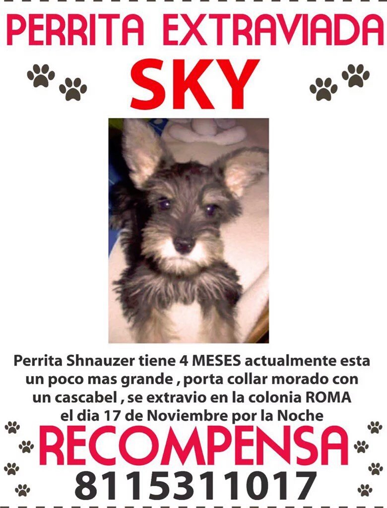 ATENCION AMIGOS DE MTY
Ayuden a localizarla <a href="/JazminconJ/">JazminLopezVillarrea</a>  y fabricio  se los agradeceran mucho :) #uniendomealacausa
