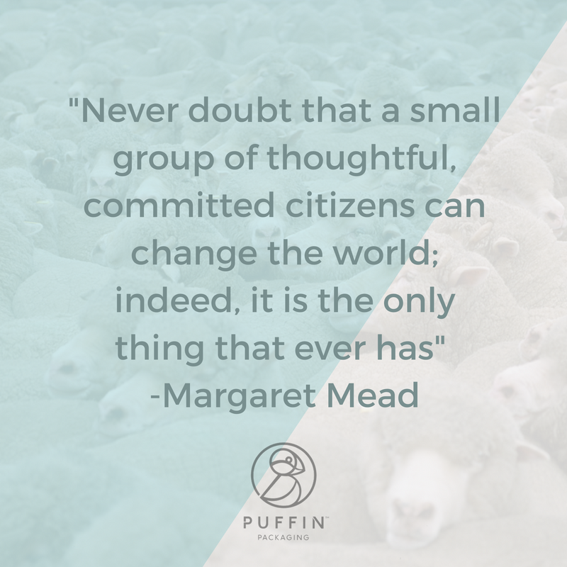 PuffinPackaging's tweet photo. Using sheep's wool to keep produce fresh is also helping the environment! - https://t.co/jRmc4LcyAt #ChooseWool #NoPolystyrene https://t.co/bPe9NS0ivq