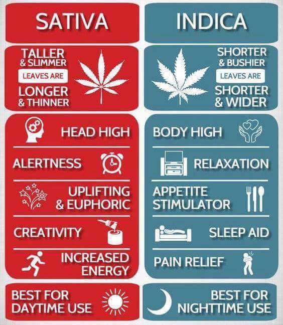 Hempressproduct's tweet image. Green tings