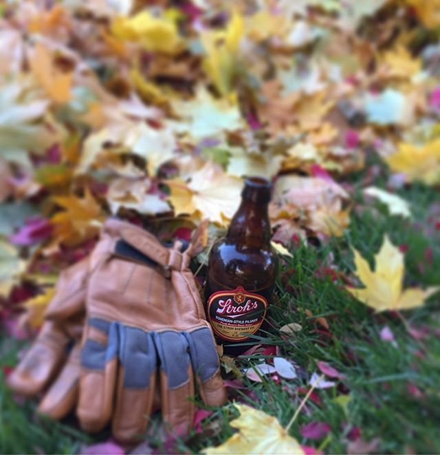Crisp and refreshing, just like fall day #StrohsBoho