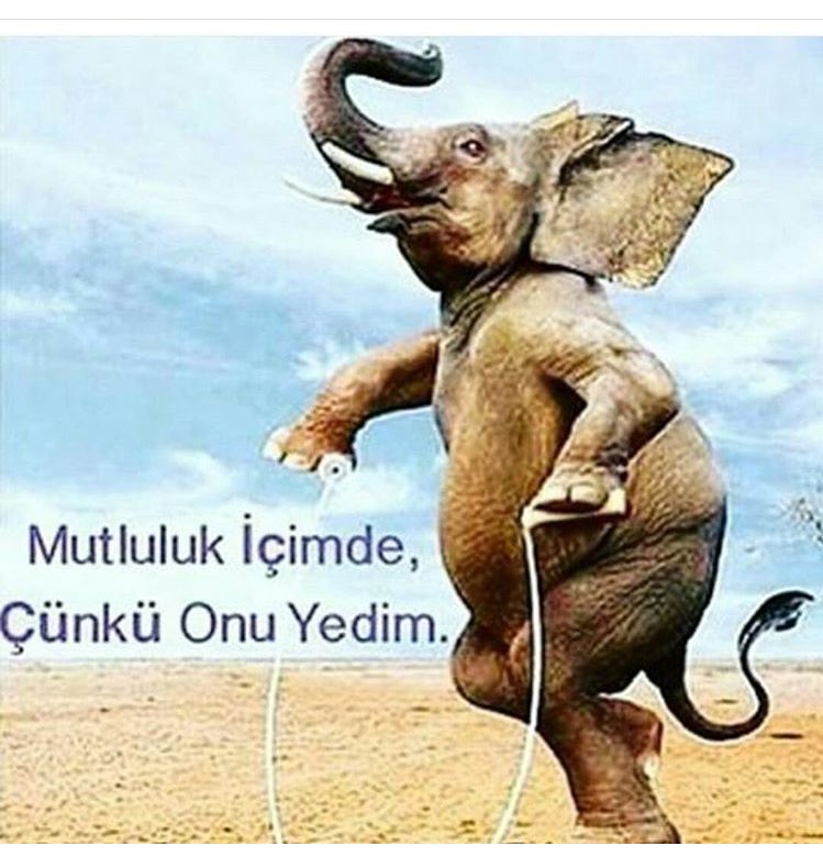 bsomyurek's tweet photo. #ÇokİçtenSöylüyorum 
Mutluluk İçimde 😀😀
#sosyetesucukekmek 😋😋😋 Tarifsiz Lezzet.. https://t.co/VwufKJJAeX