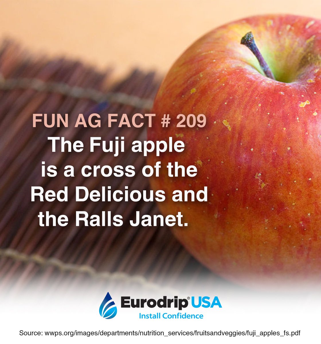EurodripUSA's tweet photo. Do you have a favorite apple variety? #AppleCiderDay #FunAgFact https://t.co/LtCFIYuS2n