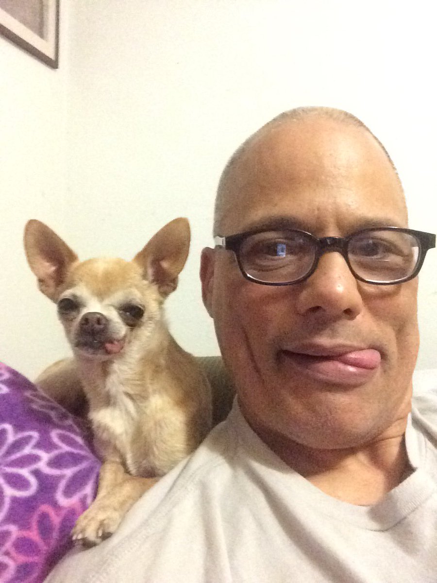 davidlabrava's tweet image. #TGIF