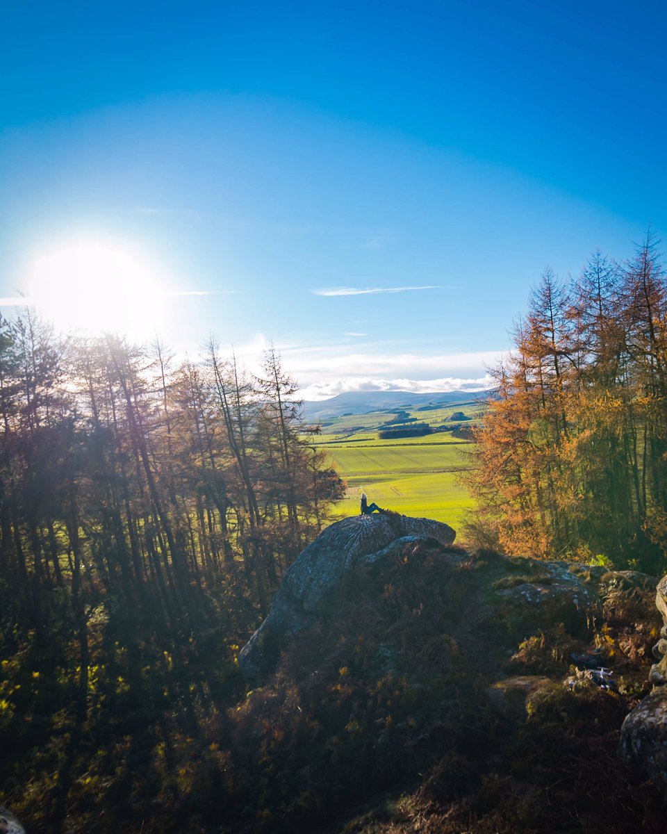 cdavidsonvisual's tweet image. Nice day spent up near St Cuthbert's Cave making a short video  #northumberland  #autumn #stcuthbertscave #belford @alnwickgazette