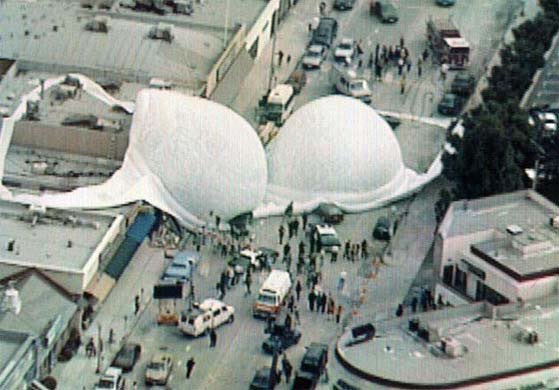 WFreeman855's tweet image. 