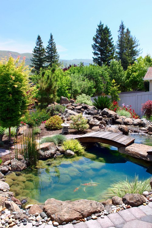 HouseP0rn_'s tweet photo. A house garden is a dream come true 🌱🌳🌼 https://t.co/EF7a5jDryg