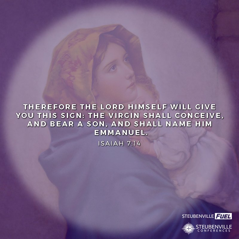 go2steubenville's tweet photo. Happy Fourth Sunday of Advent! 
#dailyeSpiration

https://t.co/jp7mJR49CN https://t.co/4E888Ipcen