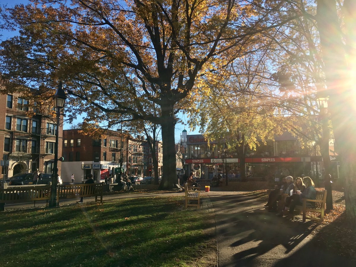 soldierunltd's tweet photo. Summer, didn't you end about 2 months ago? 60 degrees &amp; ☀️ in Harvard Square today - we're not complaining 🙌🏽 #SoldierDesign https://t.co/wKYITVJ0qf