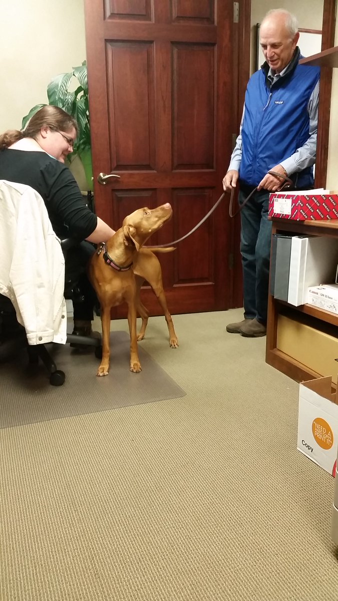 RSHLegal's tweet photo. #FlashBarkFriday to last Friday when attorney John Riccolo brought his dog, Apple, into the office to say hello! https://t.co/xhd60QUHUF
