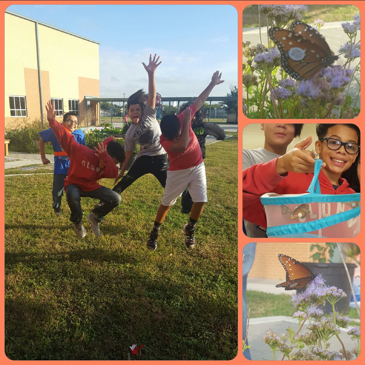 NISDmartin's tweet photo. Jumping for joy again because they tagged &amp; released three monarch butterflies today. #MartinScience @monarchwatch https://t.co/pSj38pfVZi