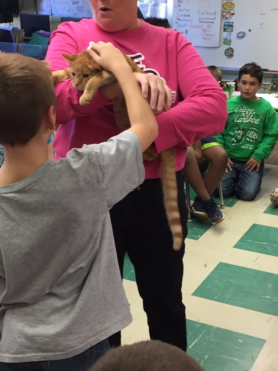 vickiburley64's tweet photo. One of a Kind Pet Rescue came to visit us today!  We will be collecting items to help them! https://t.co/LWrgSV4ned