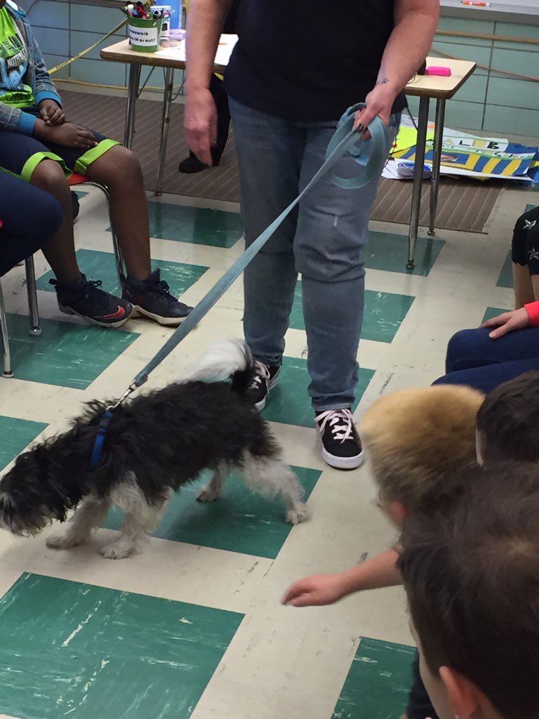 vickiburley64's tweet photo. We are excited to help One if a Kind Pets! https://t.co/v5nMUc7vO9