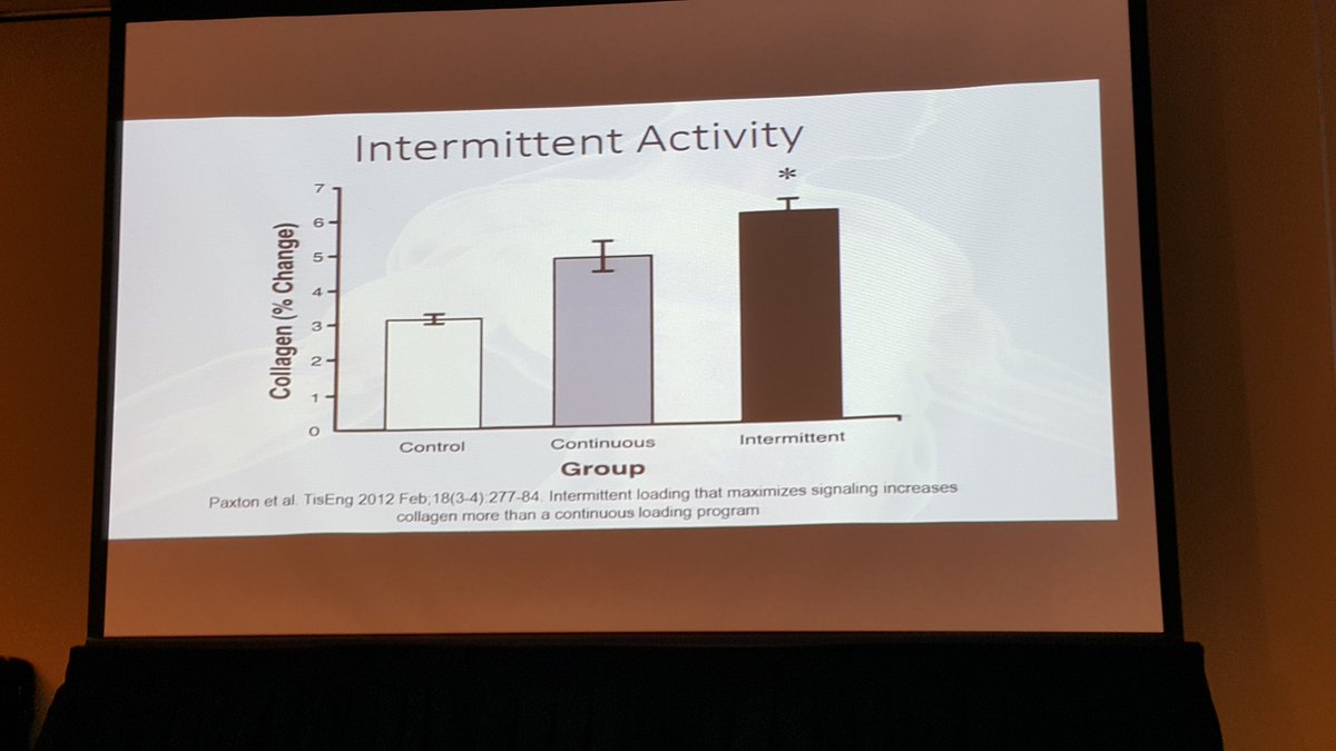 Pre intermittent exercise ingestion of 15g gelatin doubles collagen synthesis (engineered ligaments)
Preliminary clinical results promising