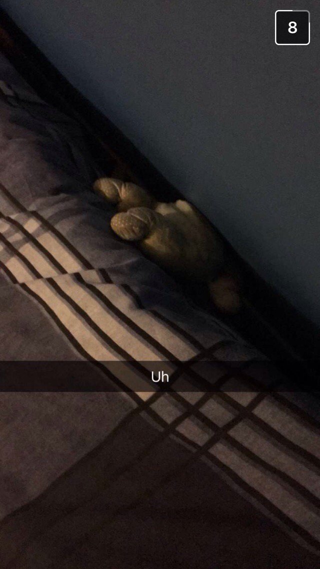 BlueTeddyBot's tweet image. 