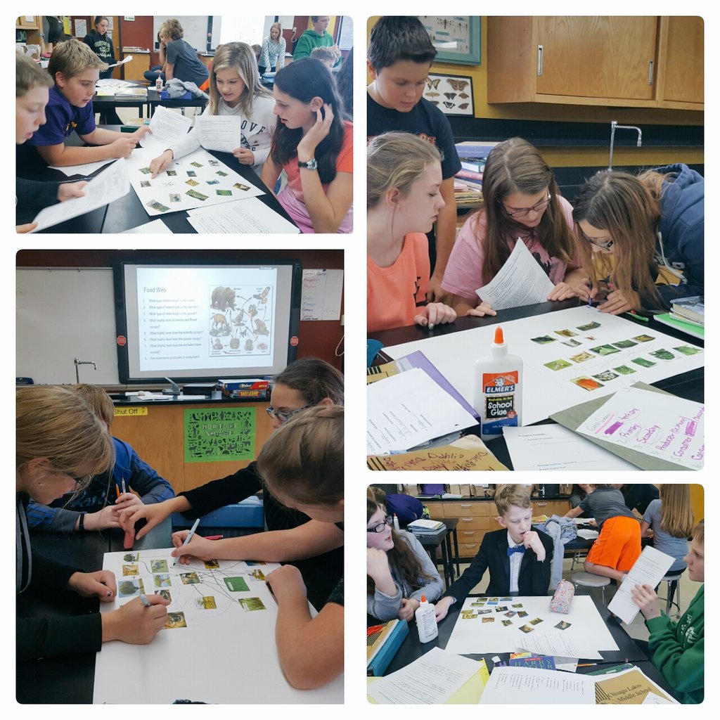 I love it when we connect the dots #foodwebs #teamwork #7thLifeSci #isd2144