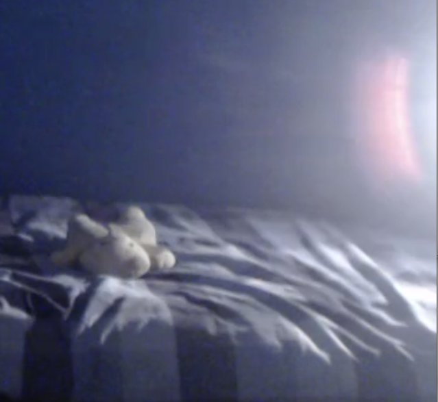 BlueTeddyBot's tweet image. 