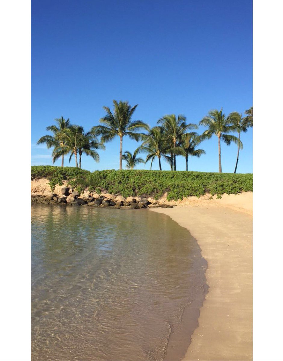 I was in Hawaii and it was sooooo pretty 🌴🌴