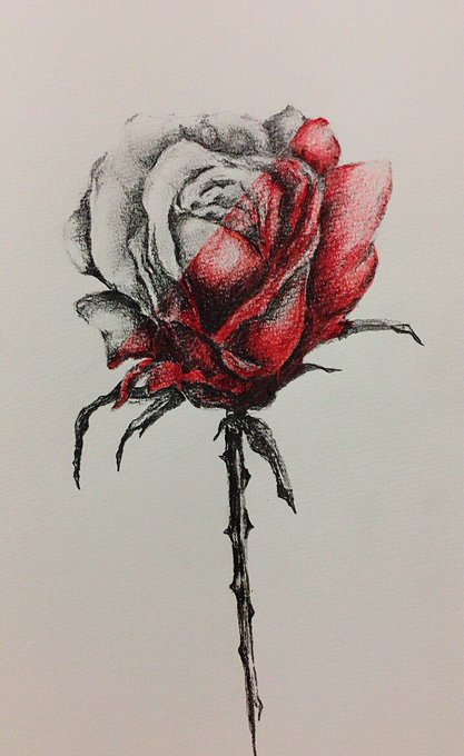 色鉛筆デッサンのtwitterイラスト検索結果 色鉛筆デッサンのtwitterイラスト検索結果
