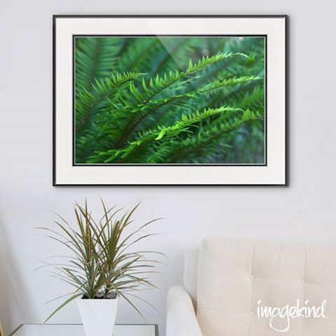 Imagekind's tweet image. Save 35% sitewide. Use code:PUMPKIN35 Save 45% on orders over $150. Use code: PUMPKIN45 Shop what's trending!! &amp;gt;&amp;gt; bit.ly/2fcXQMt