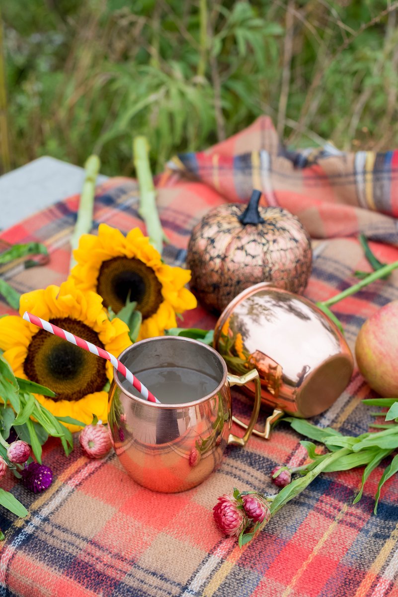 barrittsmixers's tweet photo. Warm yourself up with a fiery mule. Mix 1 part @FireballWhisky, 2 parts #Barritts Ginger Beer and a splash of pineapple and lime juice. https://t.co/52QhMk00u4