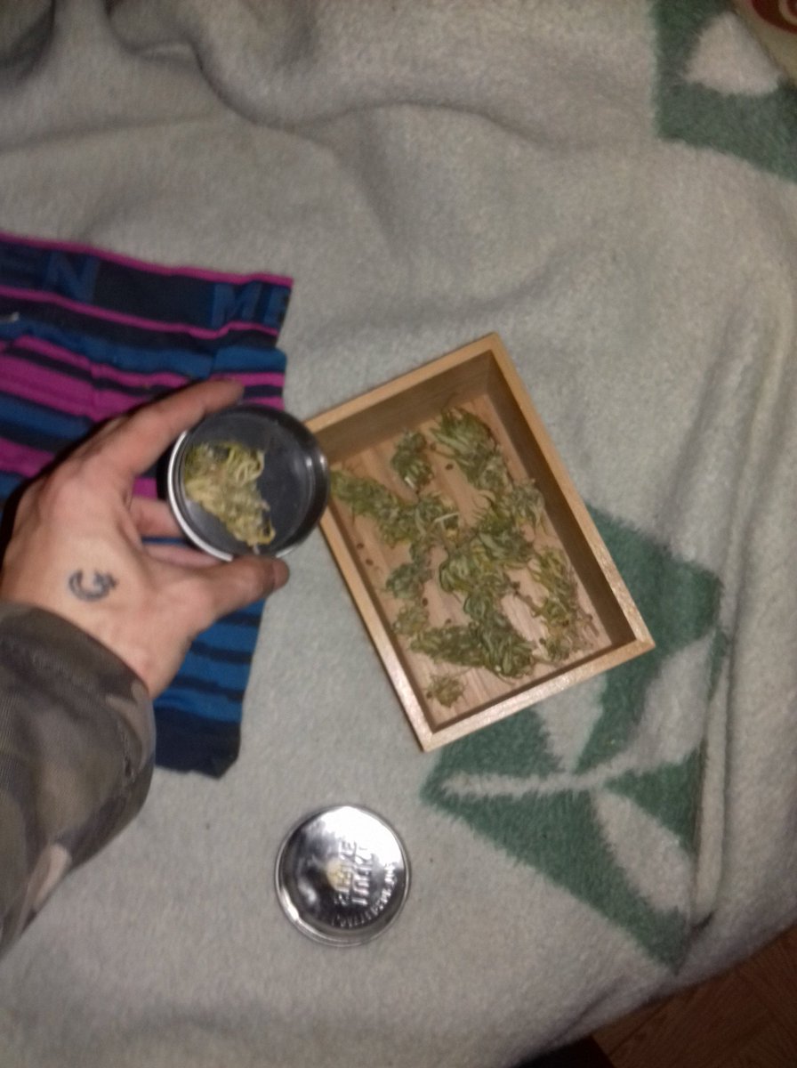 GreenMotah tweet media