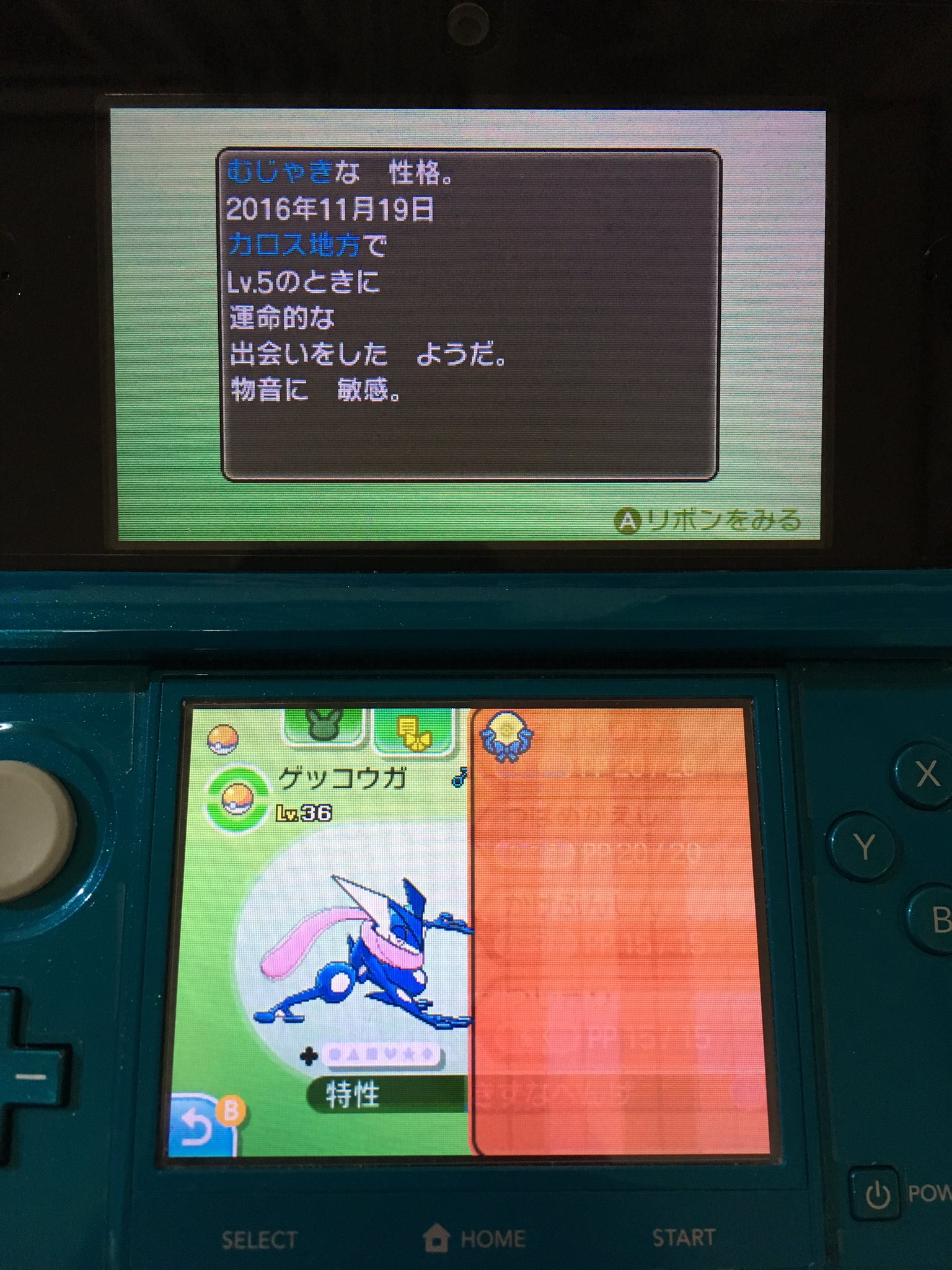 エルザ サトシゲッコウガ性格 むじゃき 厳選終わった リセット39回 ポケモンサンムーン エルザ サトシゲッコウガ性格 むじゃき 厳選終わった リセット39回 ポケモンサンムーン