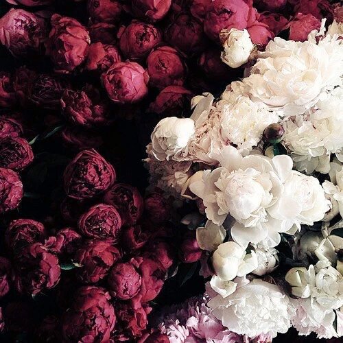 rvaesthetix's tweet photo. baby, i don't want to feel alone. https://t.co/wF3Y3KMCbo