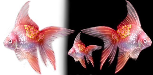 金魚のtwitterイラスト検索結果 古い順