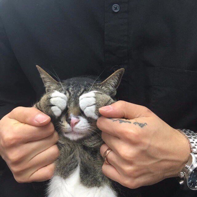 fly_awayl19's tweet image. Утра, лент🌇
#КаждыйФолловитКаждого