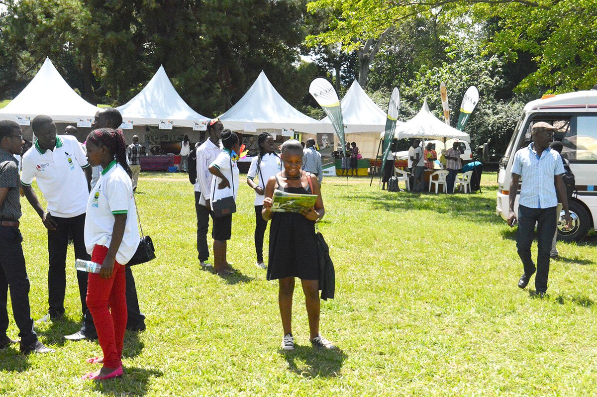 African Birding Expo tweet media