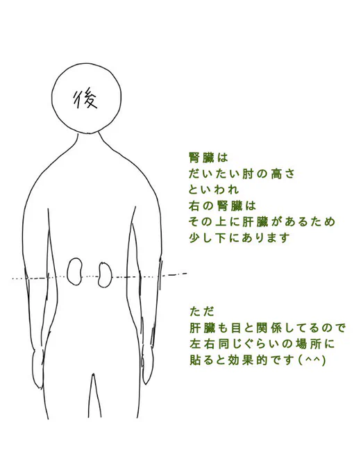 目が疲れている特に
腎臓の場所に
カイロを貼ると疲れが取れるそうです

目と腎臓は密接な関係があるので
腎臓を温めることで
目の疲れも解消されます

注意事項です
カイロは直接肌に当てないでください
就寝時には使用しないでください
熱いと感じたときはすぐにカイロをはずしてください 