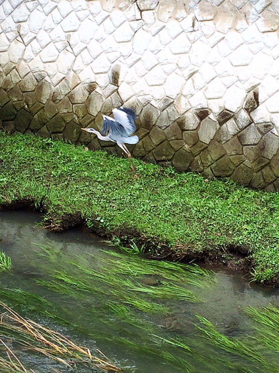 大自然シリーズ