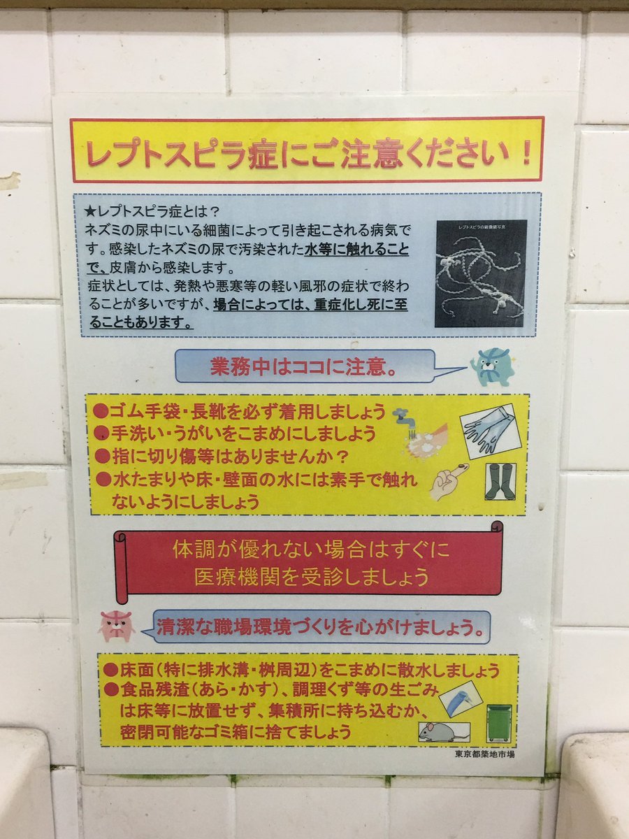 トイレに レプトスピラ症にご注意 の張り紙 築地市場の衛生問題という パンドラの箱 が開く Togetter トイレに レプトスピラ症にご注意 の張り紙 築地市場の衛生問題という パンドラの箱 が開く Togetter