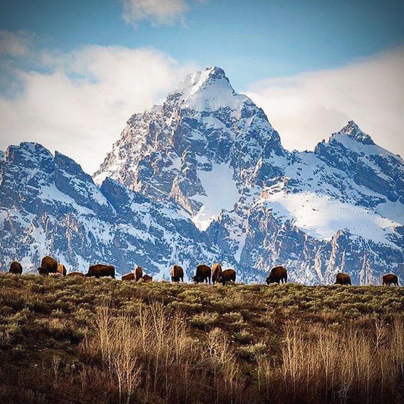 SummitNomad's tweet photo. ^ 📣 #climbing #adventureculture #itsinmynature #mountaineer https://t.co/yMdsBkbCbV