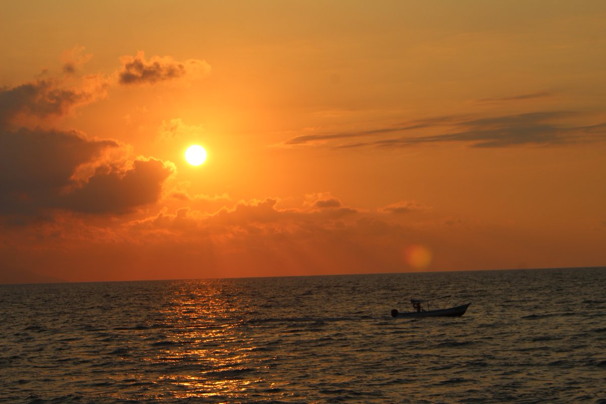 Carlos Guzman tweet media