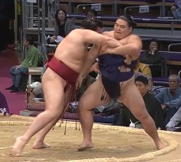 くるくるおばけ ブログ 大相撲取組内容 九州場所七日目 廻し待ったになるかと思ったけれど 1分19秒の相撲で 竜電が 大翔鵬を 寄り切り Sumo